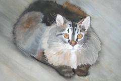 Buddha-Cat