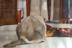 Hide-and-Seek-Play-Time