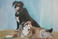 SusansDogs