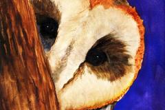 barnowl