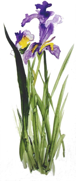 Printed Cards (from Katherine's Paintings)