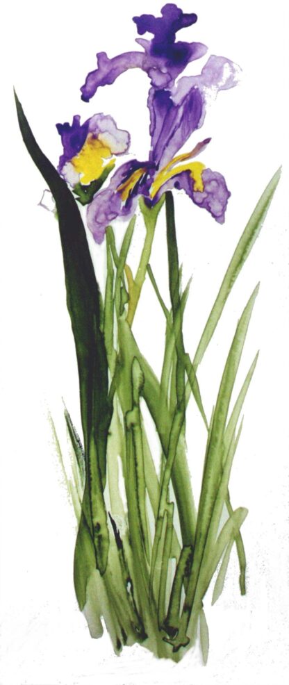 Printed Cards (from Katherine's Paintings)