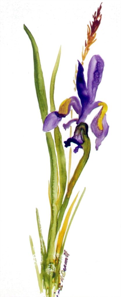Printed Cards (from Katherine's Paintings) - Image 3